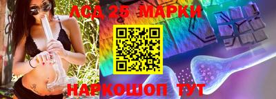 Альфа ПВП Жуковский