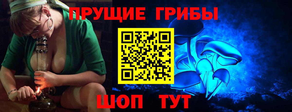 Лыткарино  Галлюциногенные грибы Cubensis  Вход с VPN 